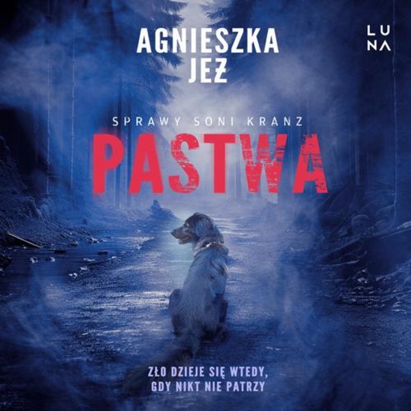 Pastwa - Audiobook mp3