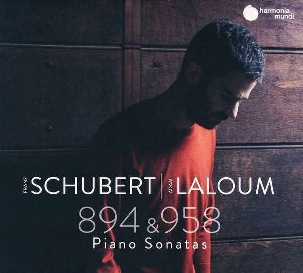 Piano Sonatas D 894 D 958 Laloum