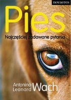 Pies. Najczęściej zadawane pytania