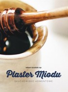 Plaster miodu - Audiobook mp3