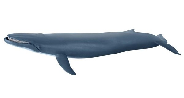 Figurka Płetwal błękitny