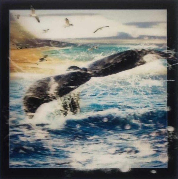 Pocztówka 3D - Ogon wieloryba
