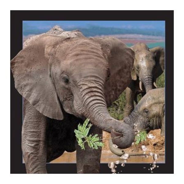 Pocztówka 3D Słoń