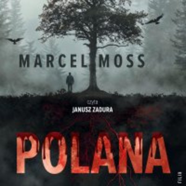 Polana - Audiobook mp3