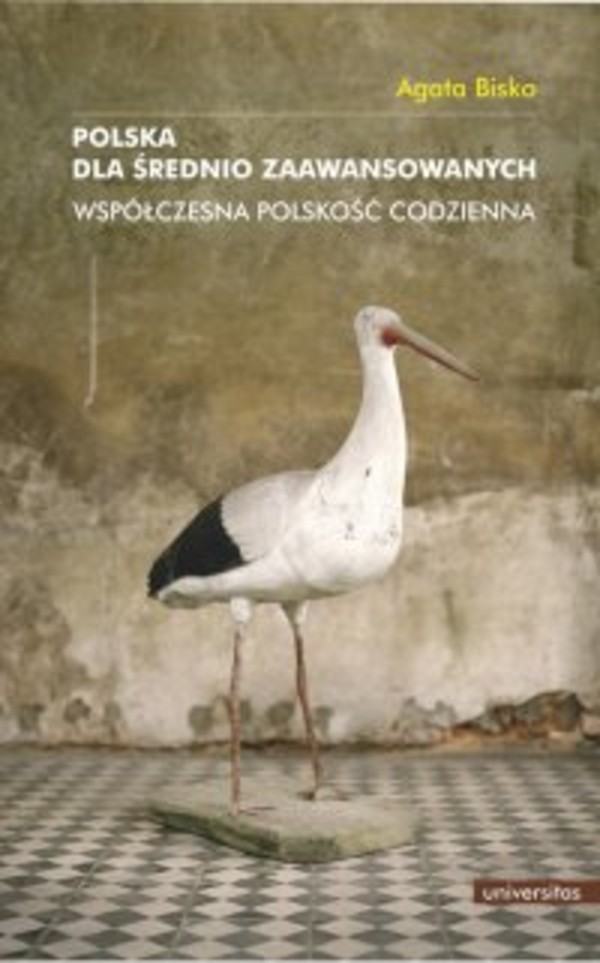 Polska dla średnio zaawansowanych. Współczesna polskość codzienna - pdf