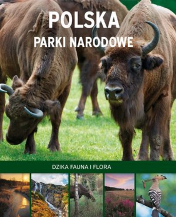 Polska Parki narodowe Dzika fauna i flora