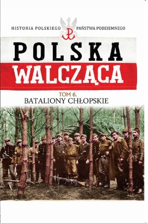 Polska Walcząca Bataliony Chłopskie. Tom 6