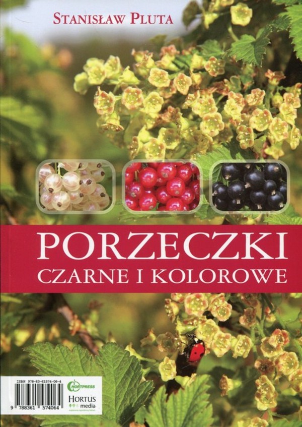 Porzeczki czarne i kolorowe