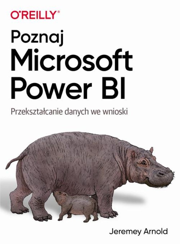 Poznaj Microsoft Power BI - pdf