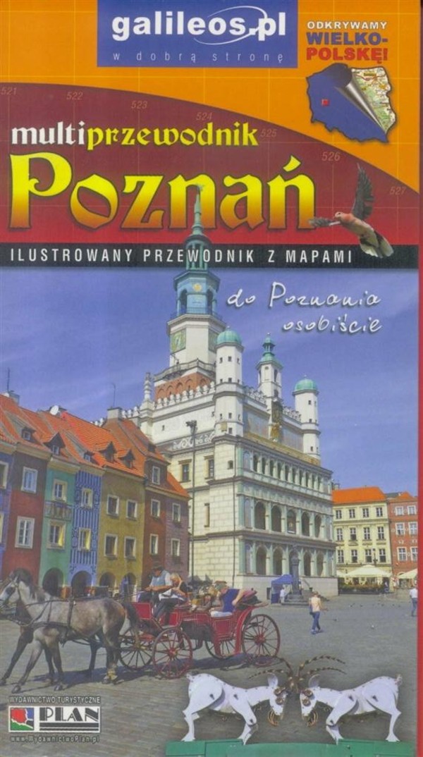 Poznań. Multiprzewodnik