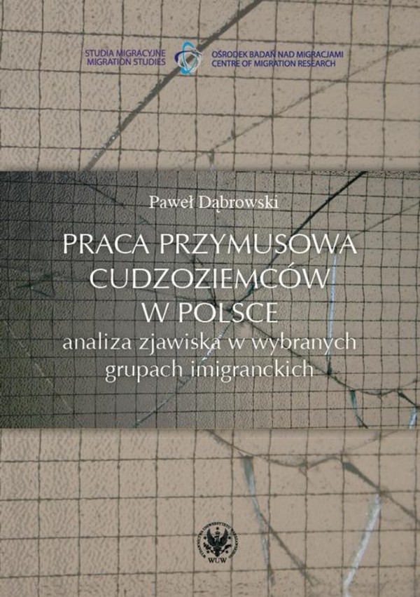 Praca przymusowa cudzoziemców w Polsce - mobi, epub, pdf