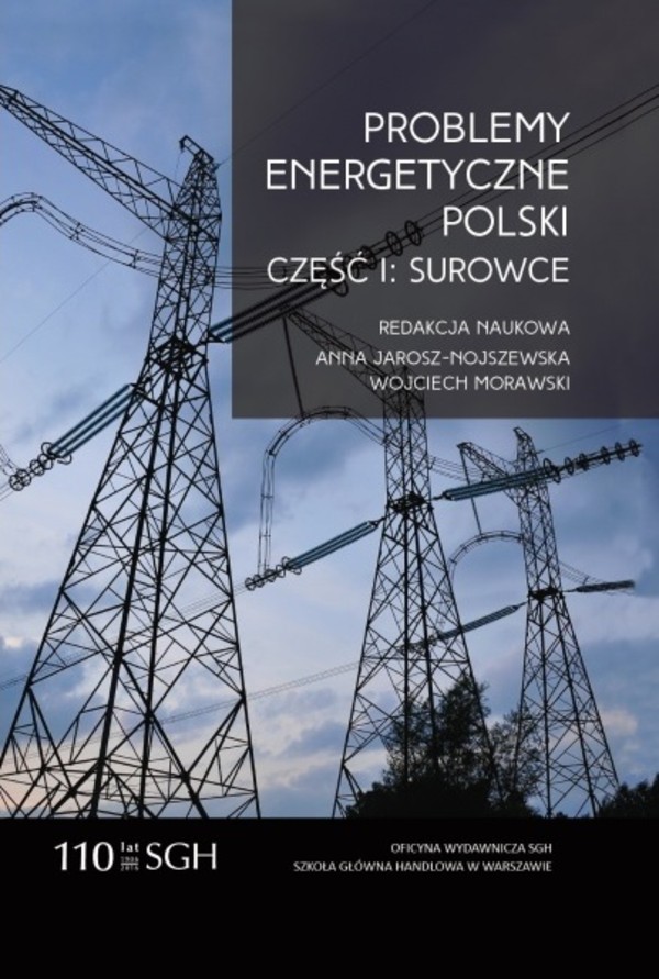 Problemy energetyczne Polski. Część I. Surowce - pdf