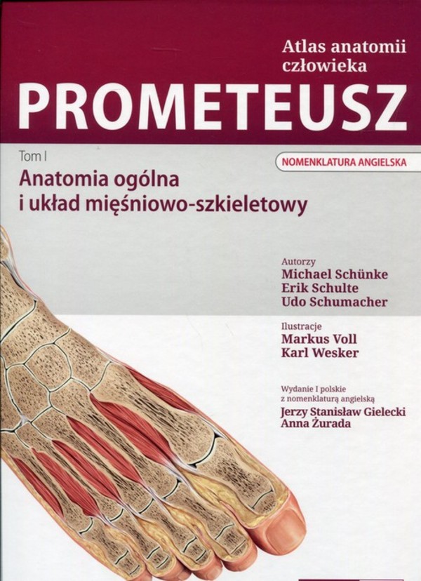 Prometeusz Atlas anatomii człowieka Tom 1 Anatomia ogólna i układ mięśniowo-szkieletowy