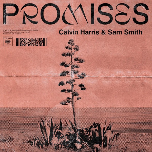 Promises (vinyl) (Picture Vinyl)