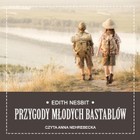 Przygody młodych Bastablów - Audiobook mp3
