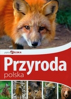 Przyroda polska Piękna Polska