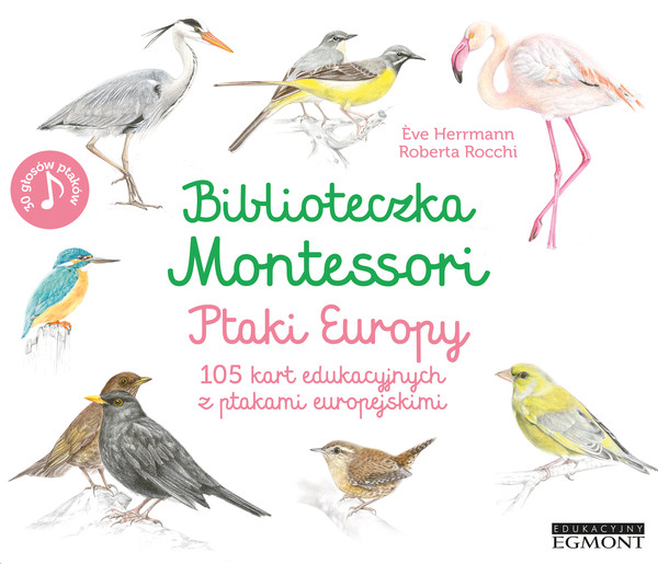 Biblioteczka Montessori. Ptaki Europy 105 kart edukacyjnych z ptakami europejskimi