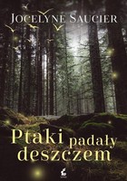 Ptaki padały deszczem