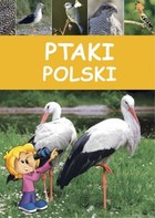 Ptaki Polski - pdf
