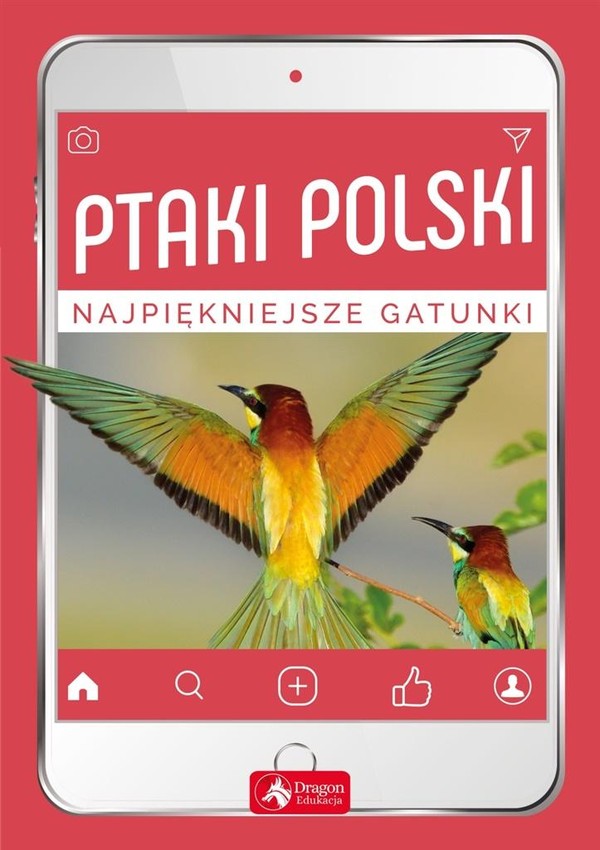 Ptaki Polski. Najpiękniejsze gatunki