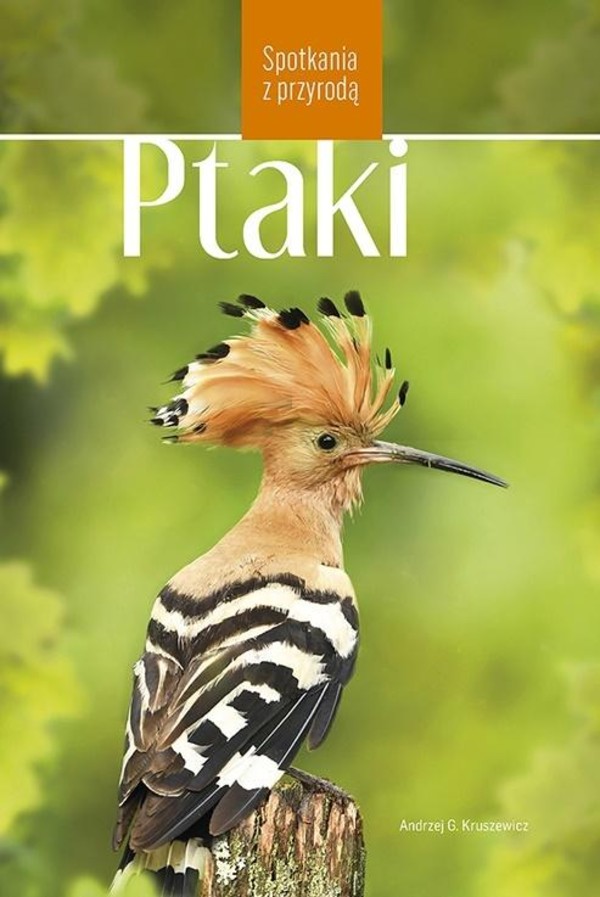 Ptaki w Polsce Spotkania z przyrodą