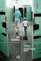 Pudło. Opowieści z polskich więzień - mobi, epub