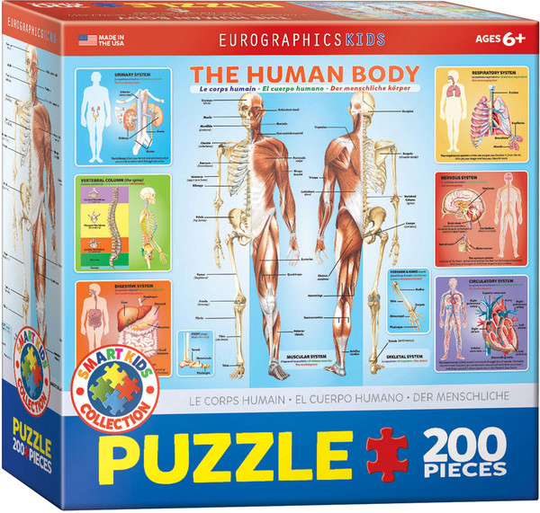 Puzzle Smartkids Ciało człowieka 200 elementów