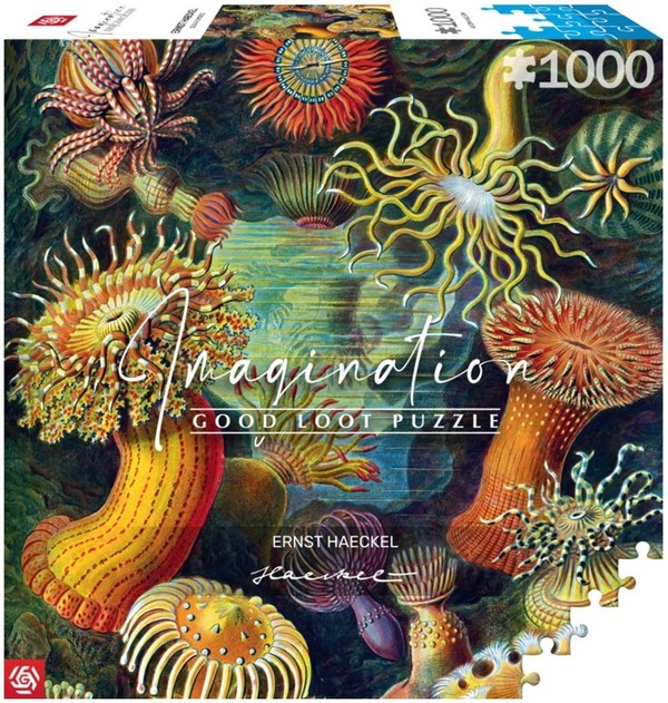 Puzzle Ernst Haeckel Stworzenia morskie 1000 elementów