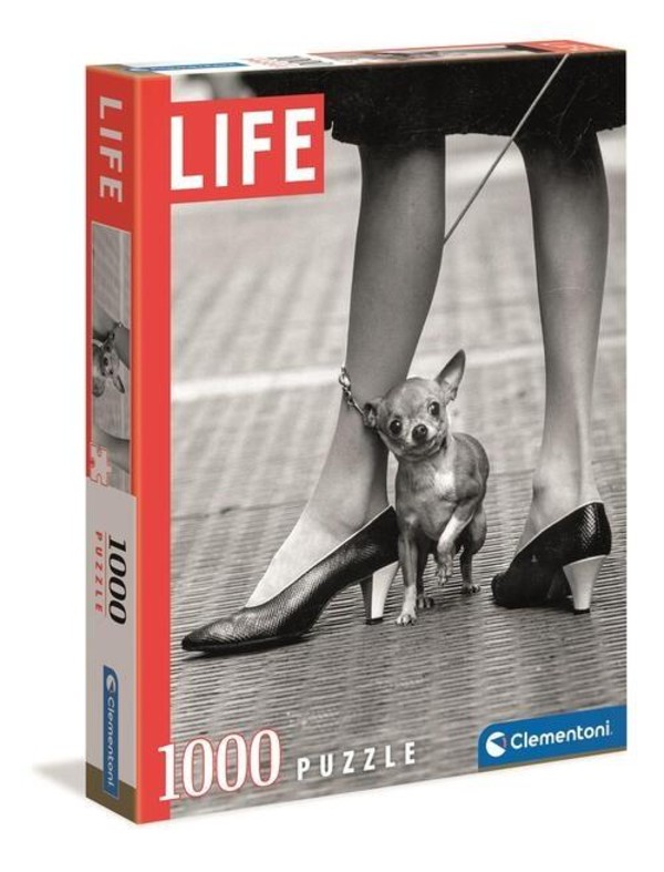 Puzzle Life Collection Chihuahua 1000 elementów