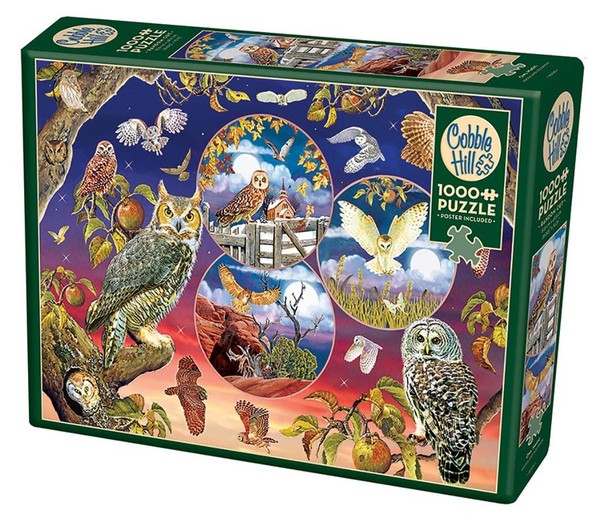 Puzzle Magiczne sowy 1000 elementów