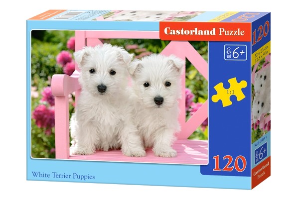 Puzzle Białe szczeniaki rasy Terrier 120 elementów