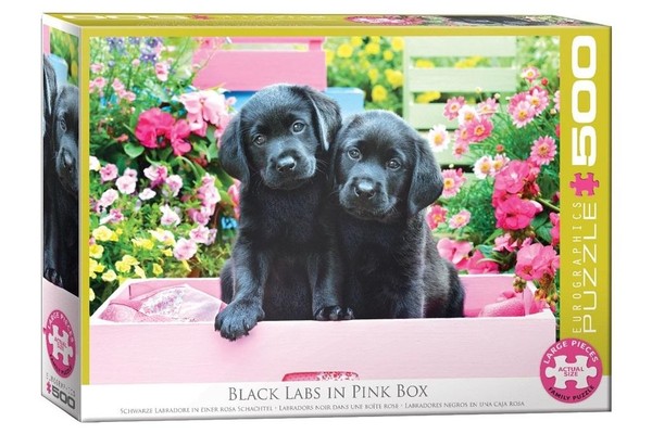 Puzzle XXL Czarne labradory w różowym pudełku 500 elementów