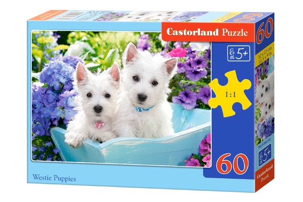 Puzzle Szczeniaki Westie 60 elementów