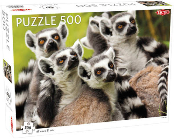 Puzzle Lemury 500 elementów