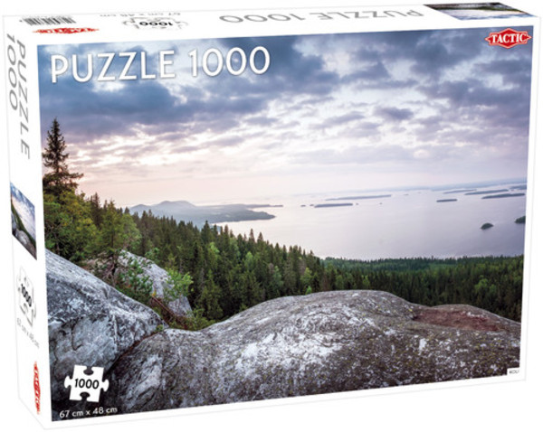 Puzzle Wzgórze Koli, Finlandia 1000 elementów