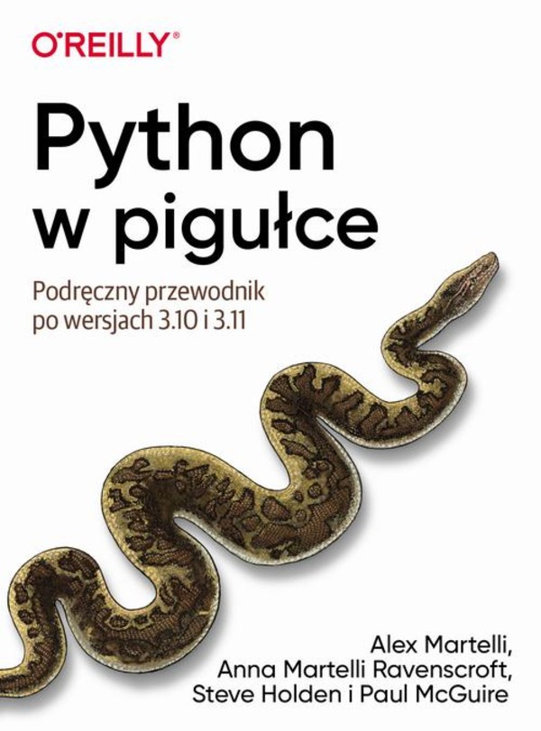 Python w pigułce - epub, pdf