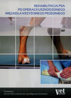 Rehabilitacja psa po operacji uszkodzonego więzadła krzyżowego przedniego