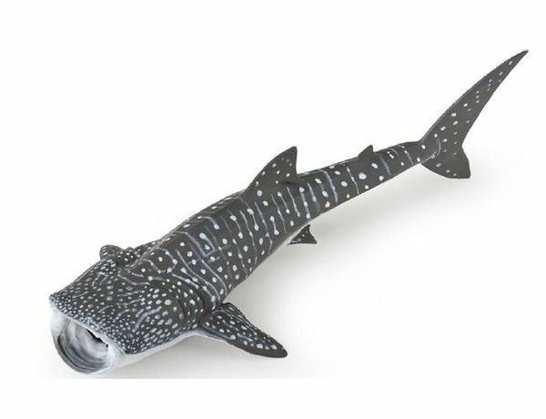 Figurka Rekin wielorybi