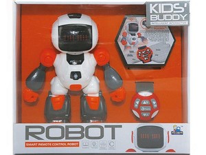 Robot RC