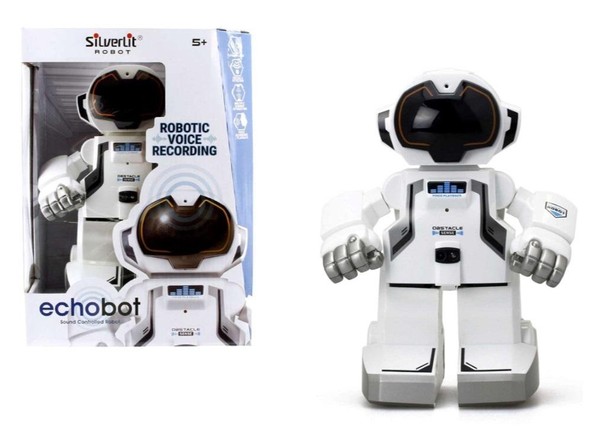 Robot Echo Bot