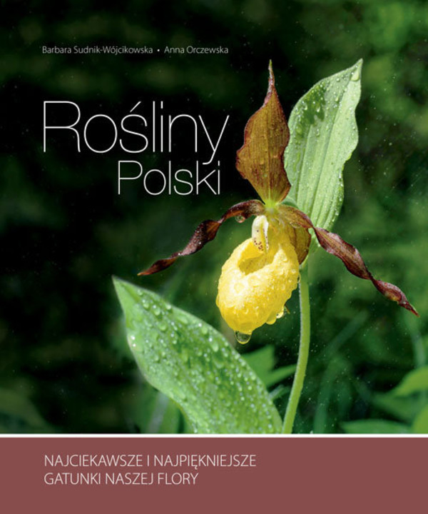 Rośliny Polski Najciekawsze i najpiękniejsze gatunki naszej flory