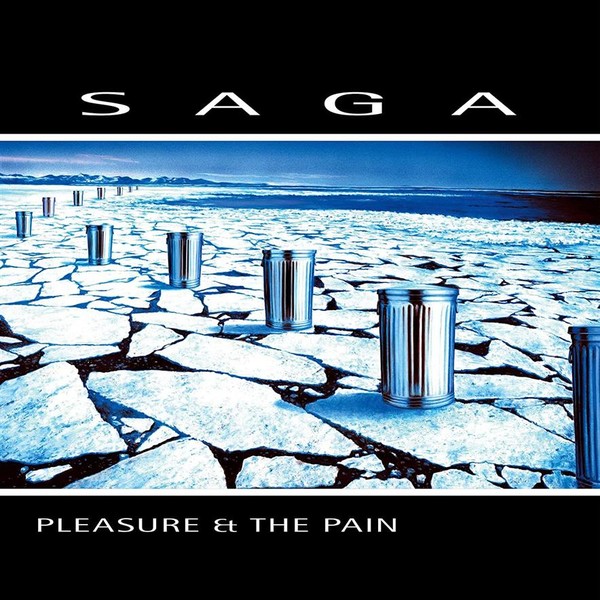 Pleasure And The Pain (vinyl)