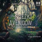 Ścieżki Avenidów - Audiobook mp3 Blask Corredo Tom 3