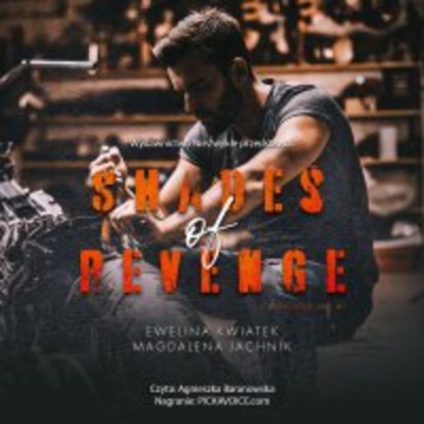 Shades of Revenge - Audiobook mp3