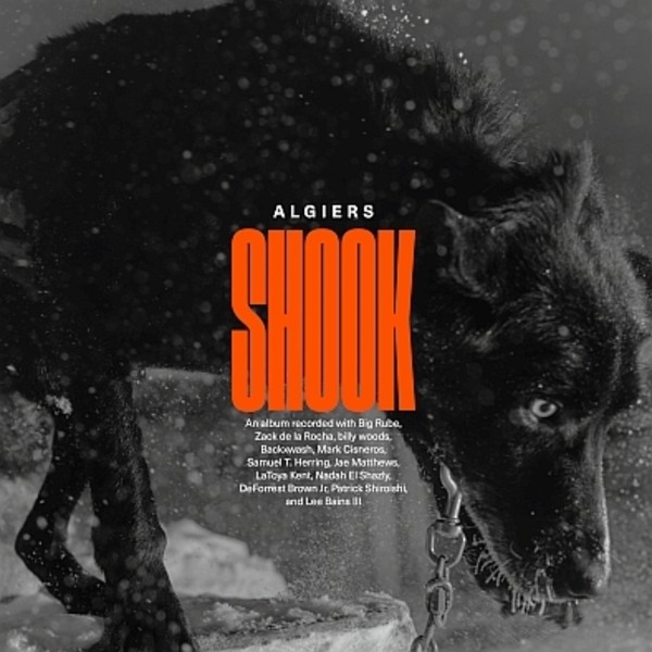 Shook (vinyl)