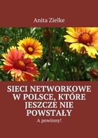 Sieci networkowe w Polsce, które jeszcze nie powstały, a powinny! - mobi, epub