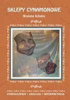 Sklepy cynamonowe Brunona Schulza - pdf Streszczenie, analiza, interpretacja