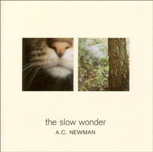 Slow Wonder