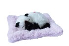 Maskotka Śpiący kotek na poduszce - biało czarny