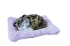 Maskotka Śpiący kotek na poduszce - ciemno brązowy